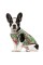 Борцовка Pet Fashion «Рио» для собак, размер XS, принт