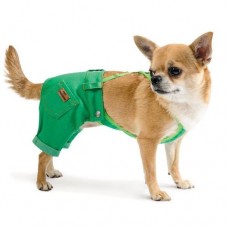 Брюки Pet Fashion «Арни» для собак, размер XS2, зеленые