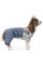 Костюм Pet Fashion «Астро» для собак, розмір S, сірий