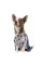 Костюм Pet Fashion «Астро» для собак, розмір S, сірий