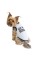 Борцівка Pet Fashion «Це моя територія» для собак, розмір M, біла