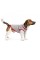 Жилет Pet Fashion «Fleecy» для собак, размер M, серо-красный