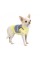 Борцівка Pet Fashion «Denim» для собак, розмір M, сіро-жовта