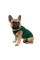 Борцівка Pet Fashion «Sun Please» для собак, розмір L, зелена