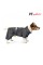 Дождевик Pet Fashion «Rain» для собак, размер M, серый