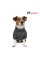 Дождевик Pet Fashion «Rain» для собак, размер SM, серый