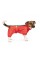 Дождевик Pet Fashion «Rain» для собак, размер SM, красный