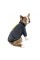 Толстовка Pet Fashion «Carbon» для собак, розмір XS2, темно-сіра