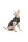Свитер Pet Fashion «Tom» для кота, размер L, серый