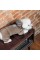 Костюм Pet Fashion «Soft» для собак, розмір XS2, коричневий (лімітована серія)