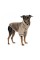 Свитер Pet Fashion «Nick» для собак, размер L, мокко (лимитированная серия)