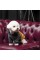 Толстовка Pet Fashion «Rollie» для собак, розмір M, бежева/сіра (лімітована серія)