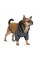 Толстовка Pet Fashion «Rollie» для собак, розмір S, бежева/сіра (лімітована серія)