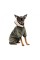 Костюм Pet Fashion «Alf» для собак, розмір XXS, хакі