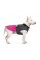 Попона Pet Fashion «Roy» для собак, розмір XL, малиново-сірий