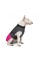 Попона Pet Fashion «Roy» для собак, розмір 2XL, малиново-сірий