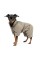 Комбінезон Pet Fashion Ego для собак, розмір М2, бежевий