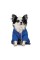 Костюм Pet Fashion Zhan для собак, розмір M, блакитний