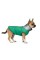 Жилет Pet Fashion Luka для собак, размер S, зеленый