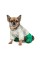Костюм Pet Fashion Man для собак, розмір XXS, зелений