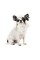 Шапка Pet Fashion Bubo для собак, размер S, хаки