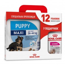 Акционный набор для собак Royal Canin Maxi Puppy 4 кг + Royal Canin Exigent loaf wet 12 шт х 85 г (домашняя птица)