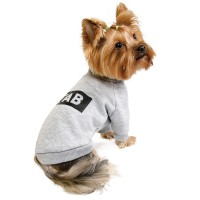 Толстовка для собак Pet Fashion «Дарю любовь за вкусняшку» XS-2