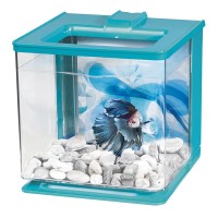 Акваріум Marina «Betta EZ Care» бірюзовий, прямий 16 x 16 x 16 см (2,5 л)