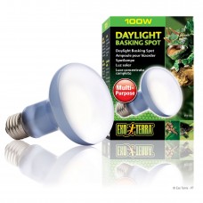 Лампа накаливания с неодимовой колбой Exo Terra «Daylight Basking Spot» 100 W, E27 (для обогрева)