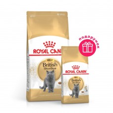 Сухий корм для дорослих котів породи британська короткошерста Royal Canin British Shorthair Adult 2 кг + 400 г у ПОДАРУНОК ​​(домашня птиця)