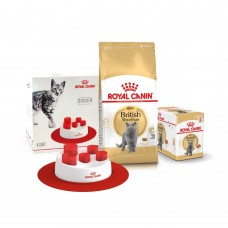 Сухий корм для котів породи британська короткошерста Royal Canin British Shorthair Adult| 2 кг + 12 шт х 85 г паучів + інтерактивна годівниця