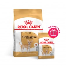 Сухий корм для дорослих собак породи чихуахуа Royal Canin Chihuahua Adult 1,5 кг + 500 г У ПОДАРУНОК (домашня птиця)