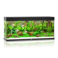 Аквариумный набор Juwel «Rio 240 LED» чёрный, прямой (240 л)