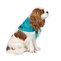 Бандана для собак Pet Fashion «WEEKEND» XS-S