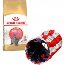 Сухой корм для котят породы британская короткошерстная Royal Canin Kitten British Shorthair | 2 кг (домашняя птица) + Подарок туннель-игрушка