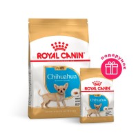Сухой корм щенков породы Чихуахуа Royal Canin Puppy Chihuahua 1,5 кг + 500 в ПОДАРОК (домашняя птица)