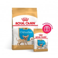 Сухой корм щенков породы Чихуахуа Royal Canin Puppy Chihuahua 1,5 кг + 500 в ПОДАРОК (домашняя птица)