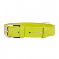 Ошейник Collar кожаный «Glamour» (Гламур) 21-29 см / 12 мм (зелёный)