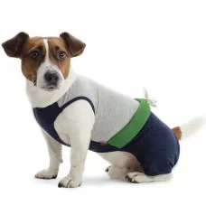 Костюм для собак Pet Fashion «Фитнес» XXS