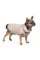Жилетка для собак Pet Fashion «LUCKY» XS