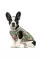 Борцівка для собак Pet Fashion «Ріо» S