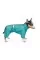 Комбинезон для собак Pet Fashion «RAIN» XS (бирюза)