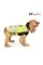 Жилет для собак Pet Fashion «Yellow Vest Warm» XS