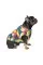 Жилет для собак Pet Fashion «Spring» принт XS