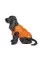 Жилетка для собак Pet Fashion «Spring» XS
