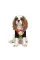 Футболка Pet Fashion «Mood» для собак, розмір S, з принтом