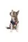 Борцівка Pet Fashion «Cool» для собак, розмір M, з принтом