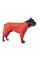Комбінезон Pet Fashion «Cold» для собак, розмір ML, червоний