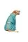 Комбинезон Pet Fashion «Cold» для собак, размер 3XL, бирюза