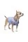 Бомбер Pet Fashion «Spike» для собак, размер XS, голубой